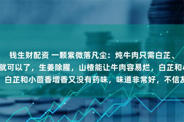 钱生财配资 一颗紫微落凡尘：炖牛肉只需白芷、山楂、小茴香外带姜片就可以了，生姜除腥，山楂能让牛肉容易烂，白芷和小茴香增香又没有药味，味道非常好，不信友友们可以试一试