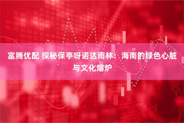 富腾优配 探秘保亭呀诺达雨林：海南的绿色心脏与文化熔炉