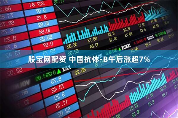 股宝网配资 中国抗体-B午后涨超7%