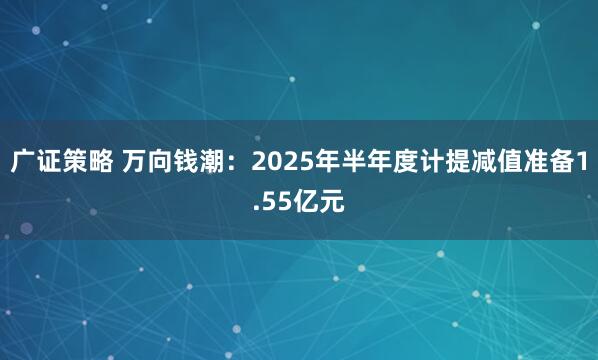 广证策略 万向钱潮：2025年半年度计提减值准备1.55亿元
